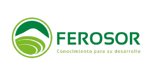 FEROSOR 2